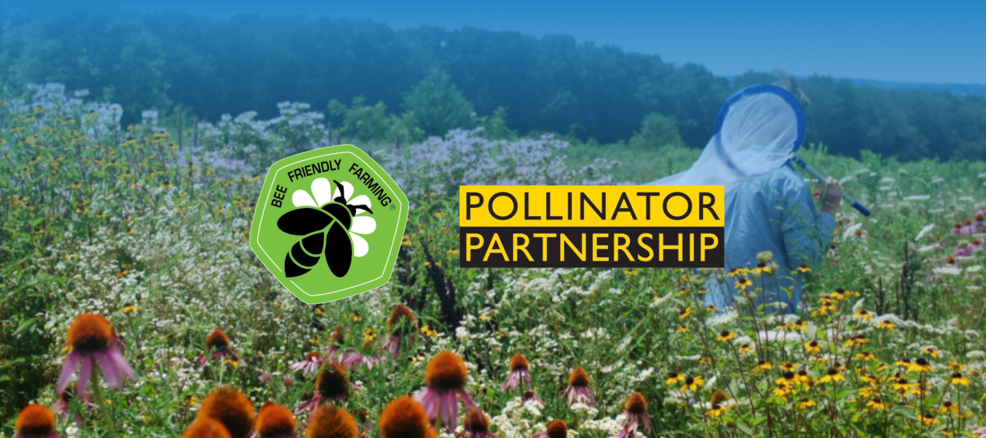 Happy Pollinator Week! *New Video* from Bee Friendly Farming